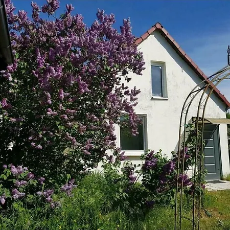 Holiday home Plaue Ferienhaus